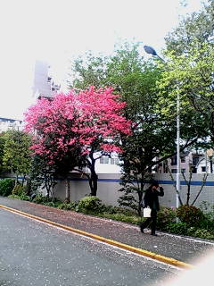 20060414163044.jpg
